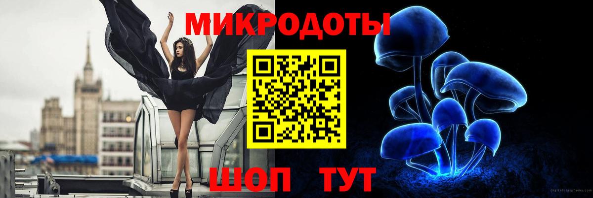Азов  Галлюциногенные грибы Psilocybine cubensis  Псилоцибиновые грибы Cubensis  Вход с VPN 